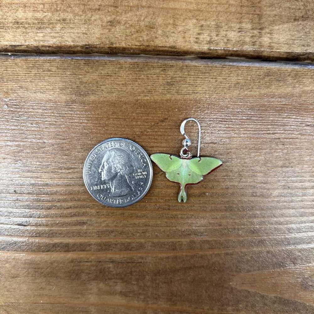 Luna Moth Earrings Sterling Silver French Hook Light-Weight Elegant Gift - Picture 4 of 7